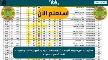 «نتيجتك الآن» رابط نتيجة الشهادة الإعدادية بالقليوبية 2025 وخطوات الاستعلام بسهولة